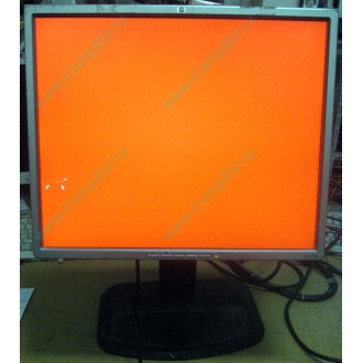 Монитор 19" TFT HP 1955 (DVI в Набережных Челнах, USB-хаб) "квадратный" (Набережные Челны)