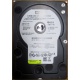 Б/У жёсткий диск 400Gb WD WD4000YR Caviar RE2 7200 rpm SATA  (Набережные Челны)
