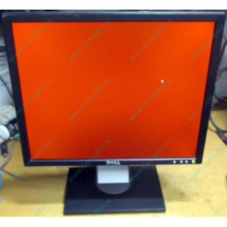 Dell E197F P в Набережных Челнах, монитор 19" TFT Dell E197FPb (Набережные Челны)