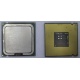 Процессор Intel Celeron D 336 (2.8GHz /256kb /533MHz) SL98W s.775 (Набережные Челны)