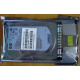 HDD 146.8Gb HP 360205-022 404708-001 404670-002 (Набережные Челны)