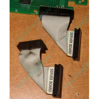6017B0045701 Шлейф 24 pin для Intel C74974-401 T0043401-B01 корпуса SR2400 (Набережные Челны)
