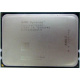 AMD Opteron 6128 OS6128WKT8EGO (Набережные Челны)