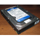 Жесткий диск 500Gb WD WD5000AAKX HP 634605-003 613208-001 7.2k SATA (Набережные Челны)