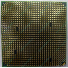 Процессор AMD Athlon 64300+ (1.8GHz) ADA3000IAA4CN s.AM2 (Набережные Челны)